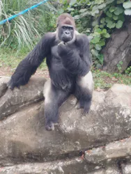 千葉市動物公園に投稿された画像（2026/7/18）