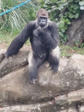 千葉市動物公園に投稿された画像（2026/7/18）