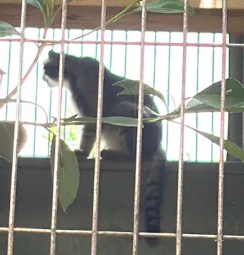名古屋市東山動植物園に投稿された画像（2026/7/18）