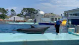 越前松島水族館に投稿された画像（2026/7/18）
