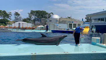 越前松島水族館に投稿された画像（2026/7/18）