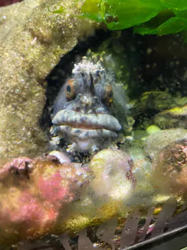 仙台うみの杜水族館に投稿された画像（2026/7/18）