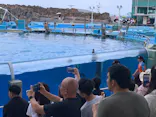 名古屋港水族館に投稿された画像（2026/7/18）