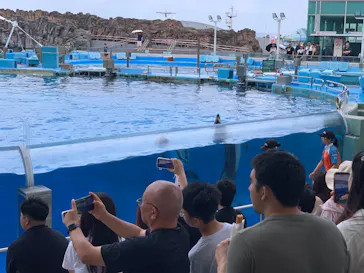名古屋港水族館に投稿された画像（2026/7/18）