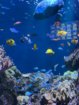 仙台うみの杜水族館に投稿された画像（2026/7/18）