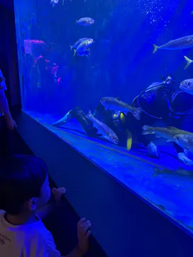 仙台うみの杜水族館に投稿された画像（2026/7/18）