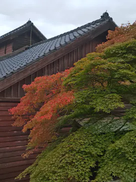 博物館 明治村に投稿された画像（2026/7/18）