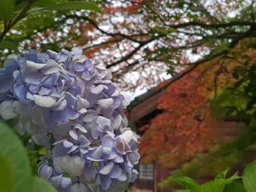 博物館 明治村に投稿された画像（2026/7/18）