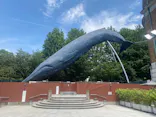 国立科学博物館に投稿された画像（2026/7/18）