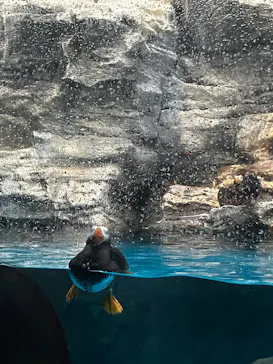 アクアワールド茨城県大洗水族館に投稿された画像（2026/7/18）