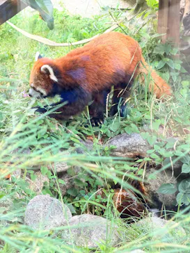 天王寺動物園に投稿された画像（2026/7/18）