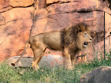 天王寺動物園に投稿された画像（2026/7/18）
