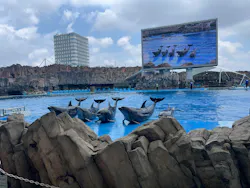 名古屋港水族館に投稿された画像（2026/7/18）