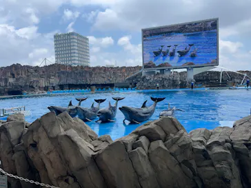 名古屋港水族館に投稿された画像（2026/7/18）