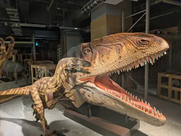 福井県立恐竜博物館に投稿された画像（2026/7/18）