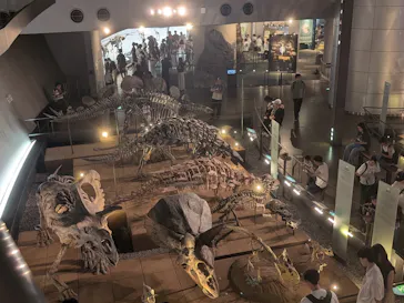 福井県立恐竜博物館に投稿された画像（2026/7/18）
