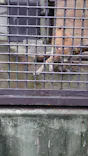 宇都宮動物園に投稿された画像（2026/7/18）