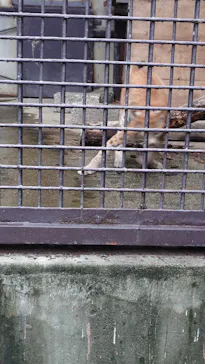 宇都宮動物園に投稿された画像（2026/7/18）