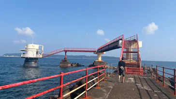 串本海中公園水族館に投稿された画像（2026/7/18）