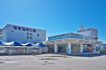 串本海中公園水族館に投稿された画像（2026/7/18）