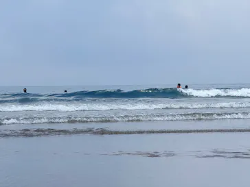 PACIFICO SURF HOUSE（パシフィコサーフハウス）に投稿された画像（2026/7/18）