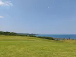 芝政ワールドに投稿された画像（2026/7/18）