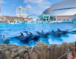 名古屋港水族館に投稿された画像（2026/7/18）