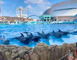 名古屋港水族館に投稿された画像（2026/7/18）