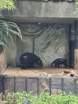 恩賜上野動物園に投稿された画像（2026/7/18）