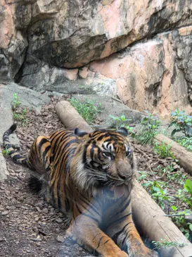 恩賜上野動物園に投稿された画像（2026/7/18）