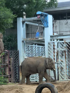 恩賜上野動物園に投稿された画像（2026/7/18）