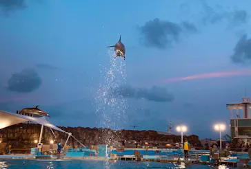 名古屋港水族館に投稿された画像（2026/7/18）