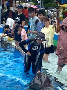 南知多ビーチランド＆南知多おもちゃ王国に投稿された画像（2026/7/18）