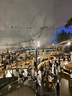 福井県立恐竜博物館に投稿された画像（2026/7/18）