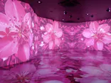 MIRACLE WORLDに投稿された画像（2026/7/18）