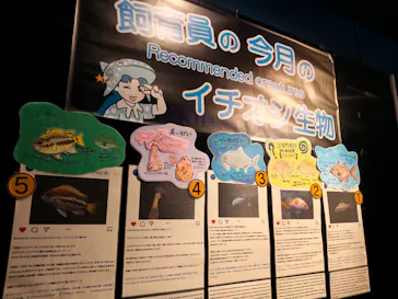 沖縄美ら海水族館に投稿された画像（2026/7/18）