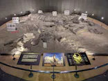 福井県立恐竜博物館に投稿された画像（2026/7/19）