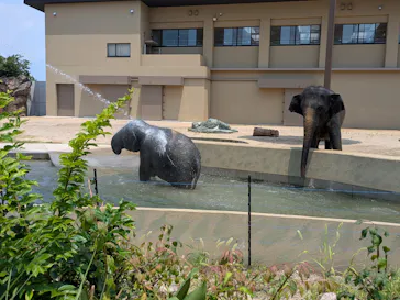 天王寺動物園に投稿された画像（2026/7/19）
