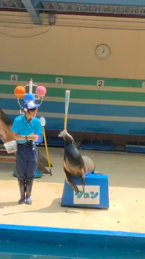 鳥羽湾めぐりとイルカ島に投稿された画像（2026/7/19）