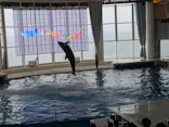 アクアワールド茨城県大洗水族館に投稿された画像（2026/7/19）