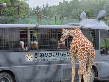 那須サファリパークに投稿された画像（2026/7/19）