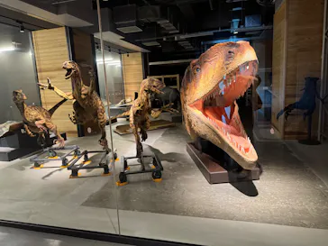 福井県立恐竜博物館に投稿された画像（2026/7/19）