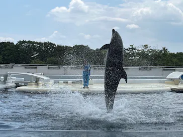 京都水族館に投稿された画像（2026/7/19）
