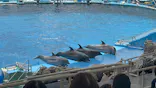名古屋港水族館に投稿された画像（2026/7/19）