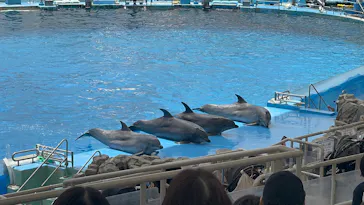 名古屋港水族館に投稿された画像（2026/7/19）