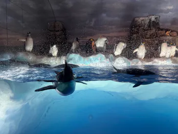 名古屋港水族館に投稿された画像（2026/7/19）
