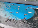 上越市立水族博物館 うみがたりに投稿された画像（2026/7/19）