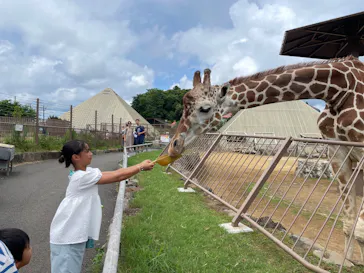 伊豆シャボテン動物公園に投稿された画像（2026/7/19）