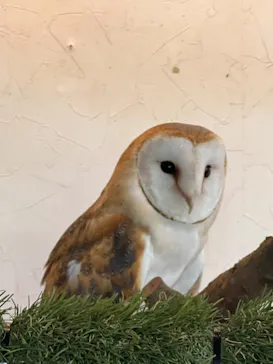 伊豆シャボテン動物公園に投稿された画像（2026/7/19）