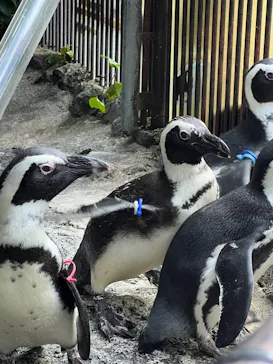 伊豆シャボテン動物公園に投稿された画像（2026/7/19）